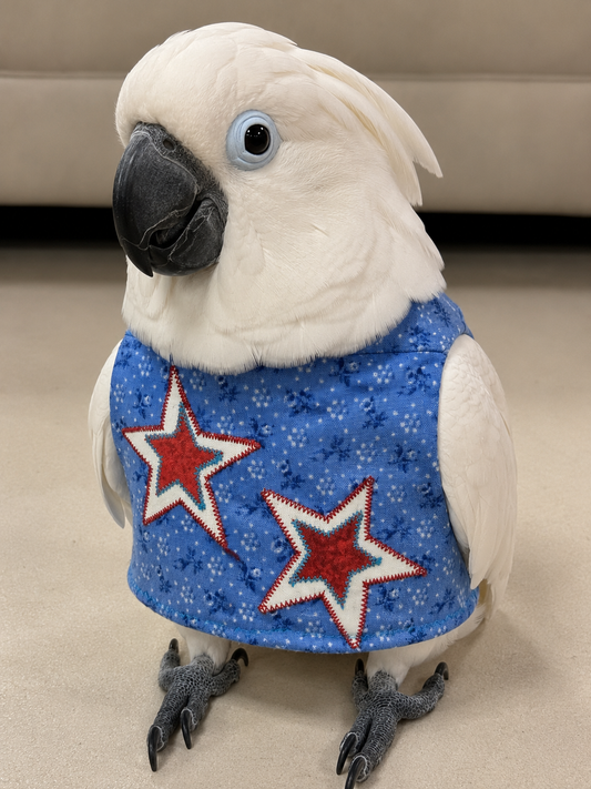 Blue 4th of July Stars