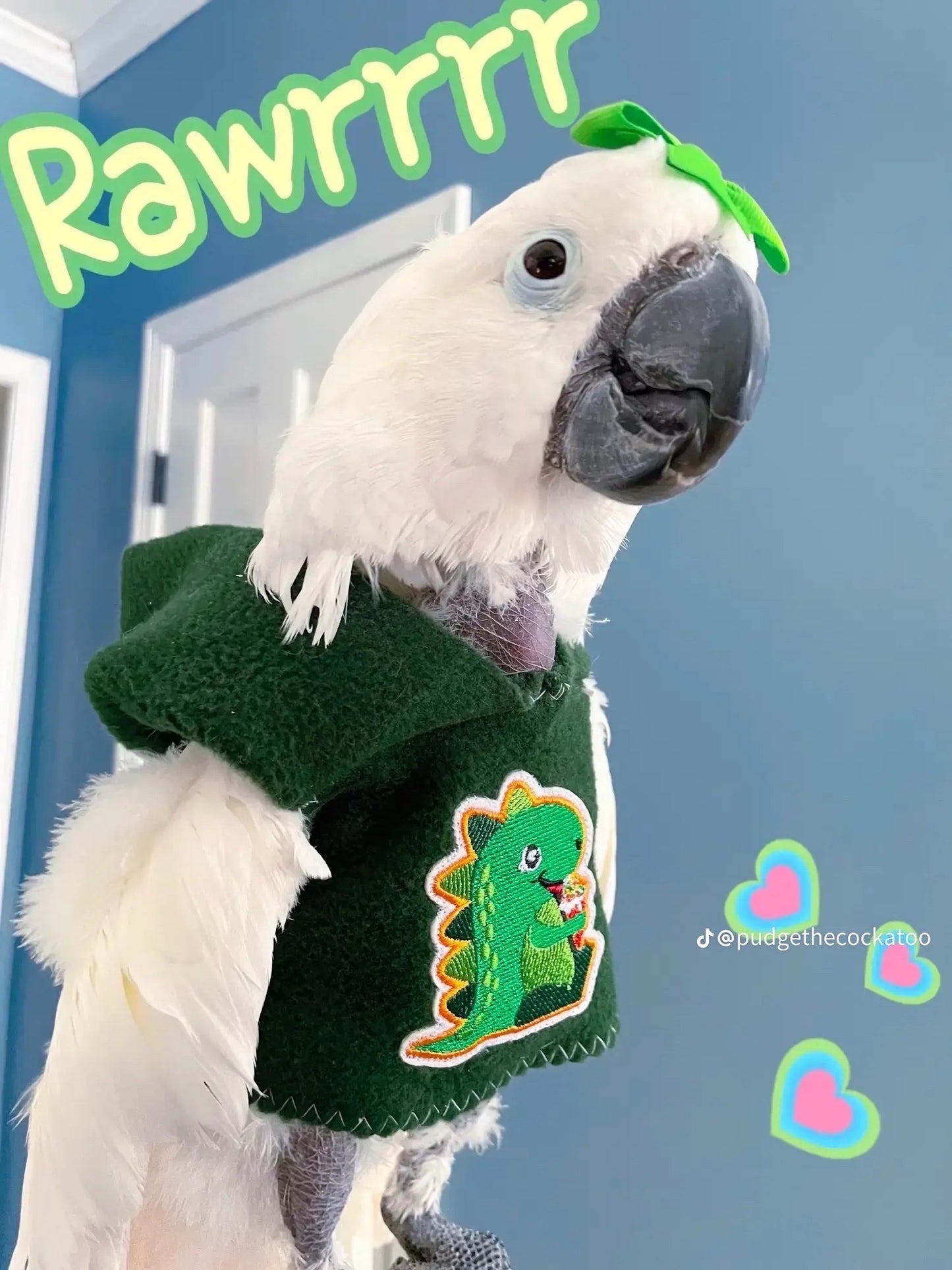 Dinosaur Hoodie 🦖