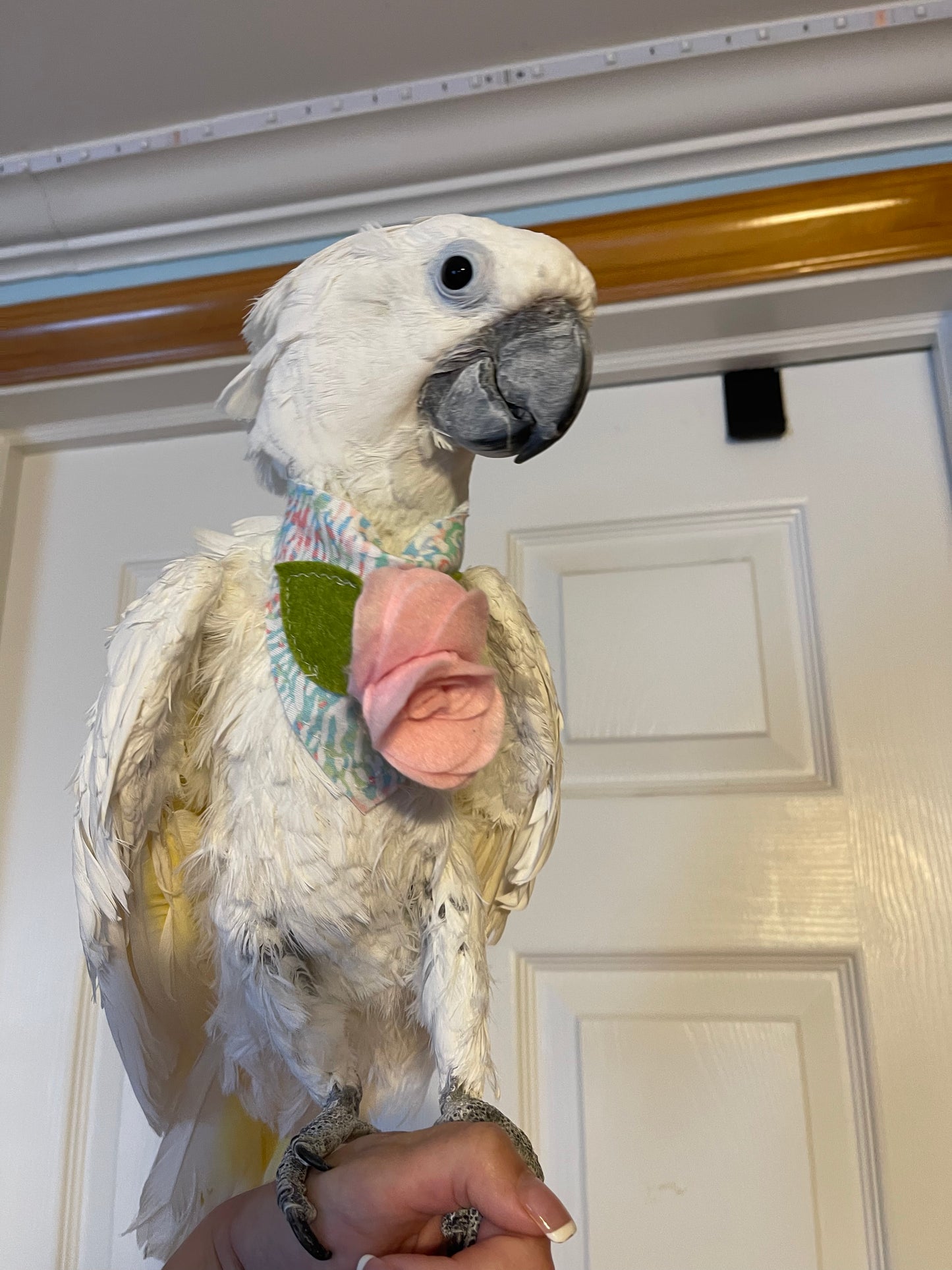 Flower Bandana