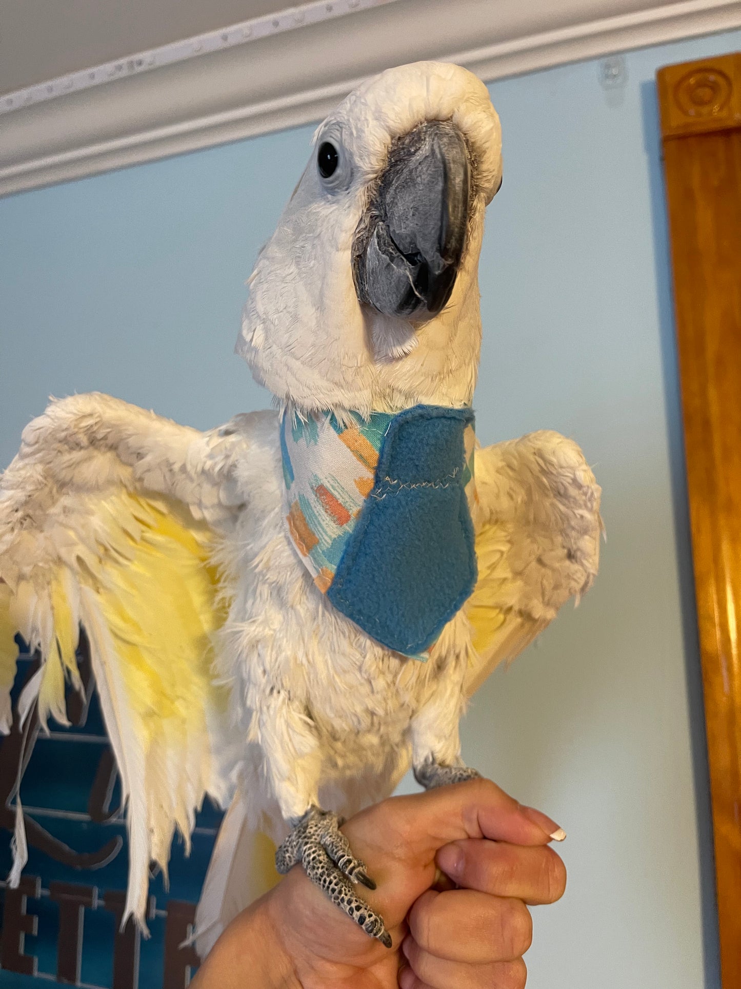 Blue Tie Bandana