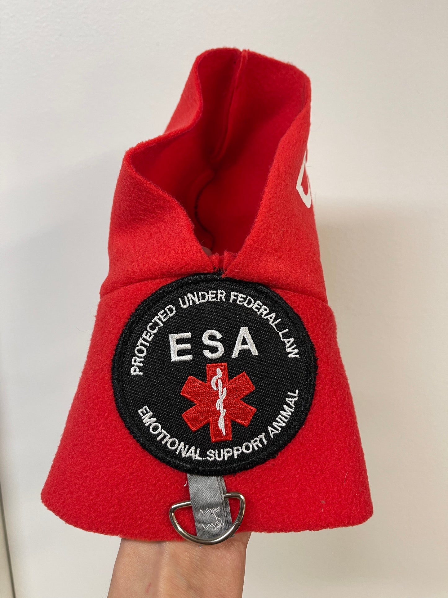 ESA red hoodie