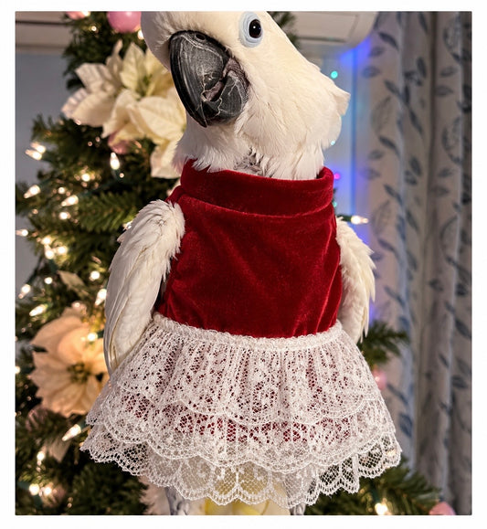 Christmas Belle Velvet Dress