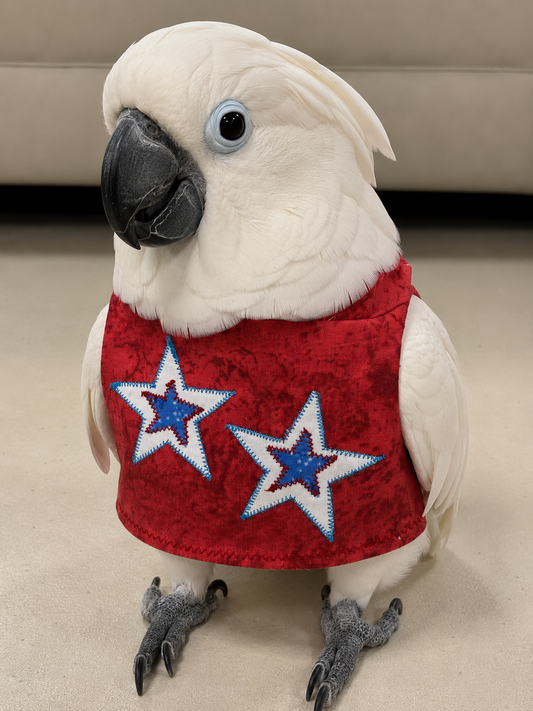 Red 4th of July Stars
