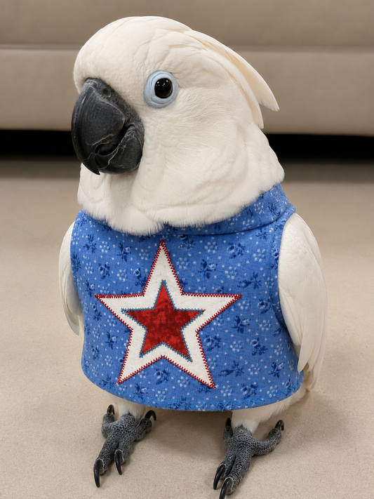 Blue 4th of July Star